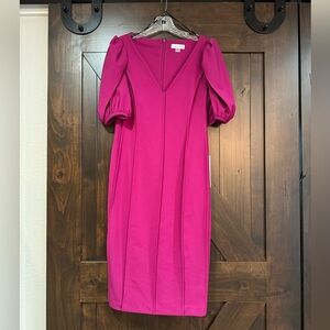 Calvin Klein NWT dress v-neck below knee puff sleeve size 10